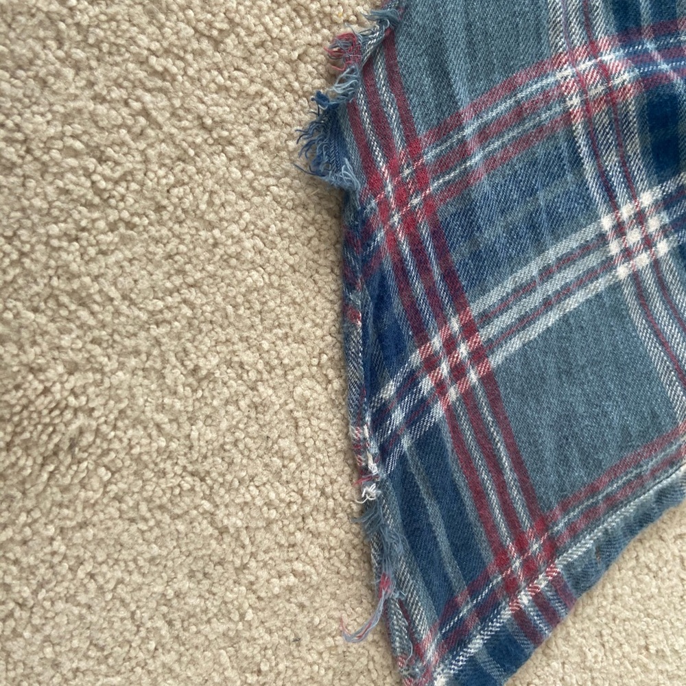 flannel - Picture 10 of 10
